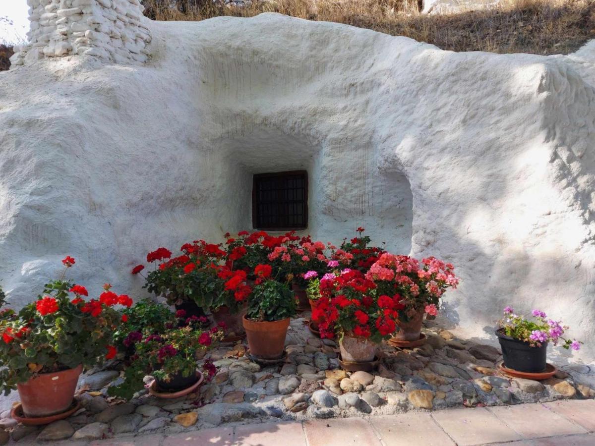 Cueva El Guindas Баса Экстерьер фото